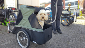 vervoer je hond met aanhanger en driewier fietskar bagagewagen